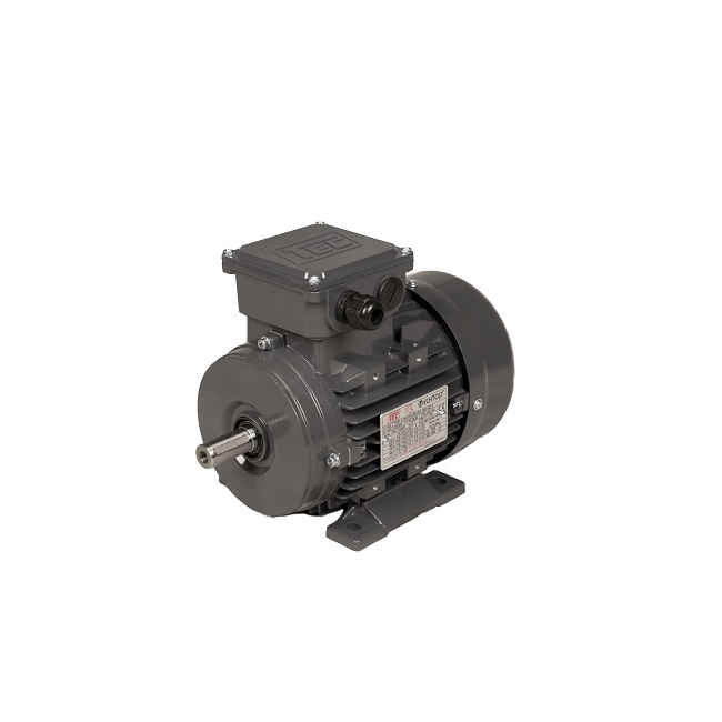 TEC Electric Motor Three Phase 3PH3KW2PB3T3 3KW 3000rpm Foot Mounted IE3